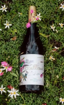 A bottle of Nieu Sauvignon Blanc lying among white flowers and pink petals