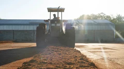 A tractor with a rotovator working a long low heap of red rooibos on the tea court
