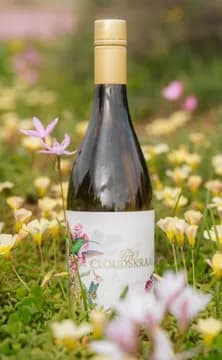 A bottle of Nieu Sauvignon Blanc standing among pink and white wildflowers