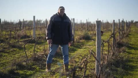 Japie Nel walking between rows of dormant, bare vines in winter sun