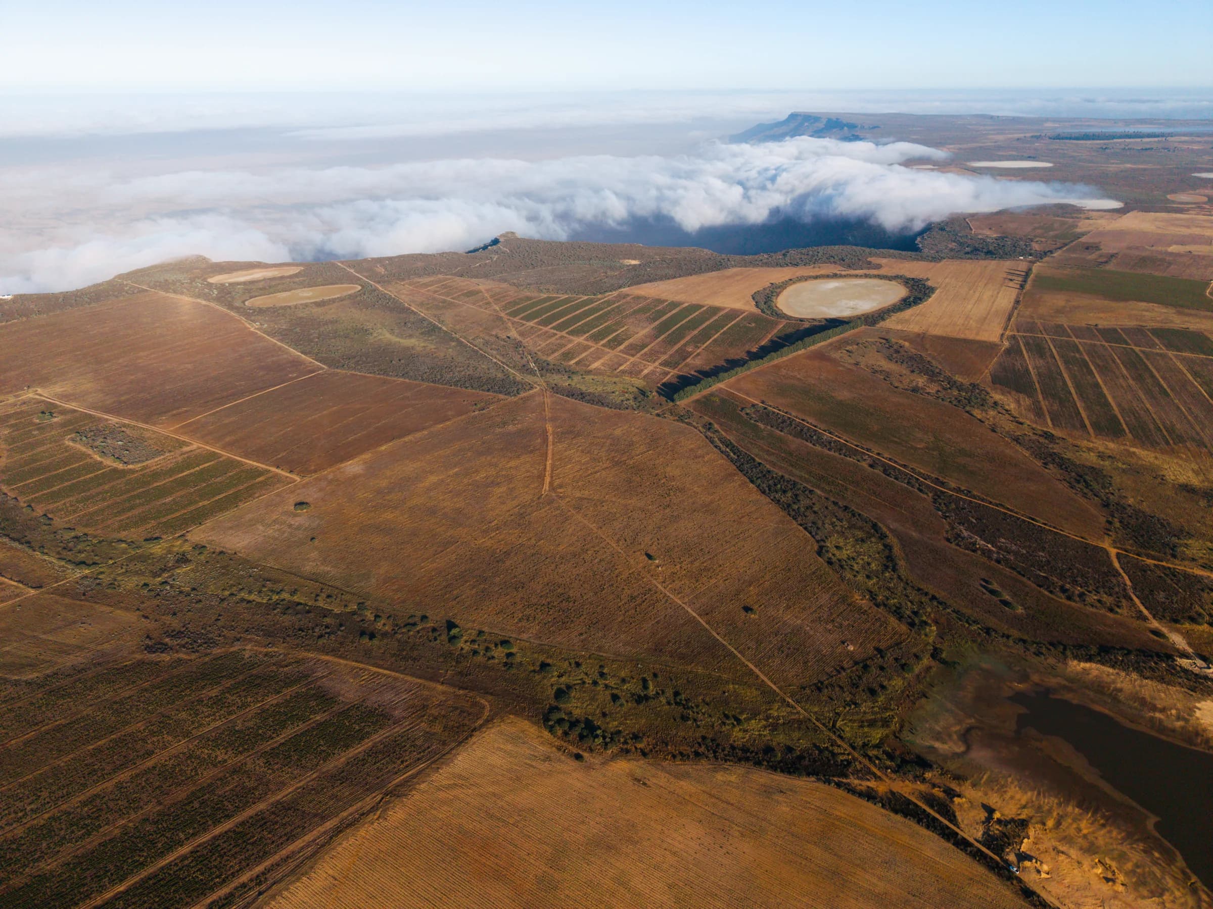 Aerial view of planted blocks and a dam, with cloud turning to mist along the top of the mountain