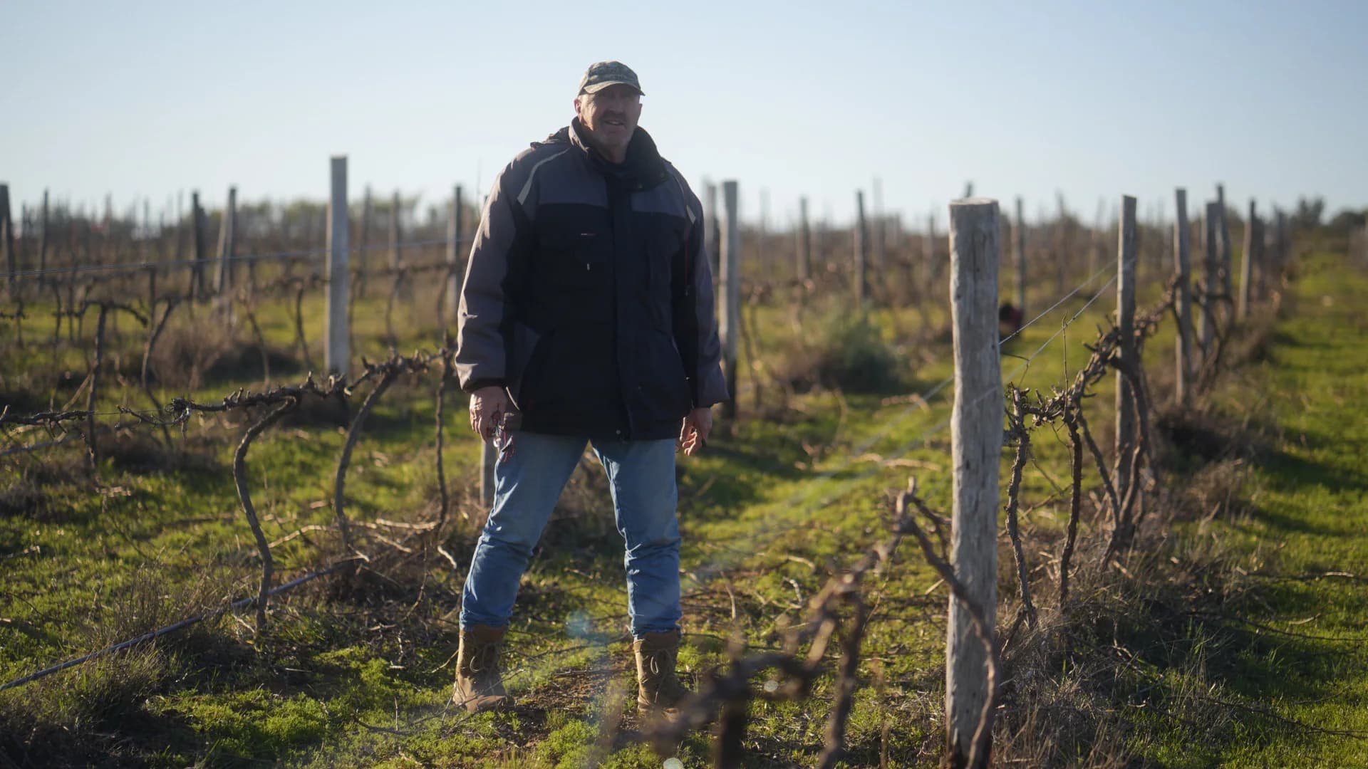 Japie Nel walking between rows of dormant, bare vines in winter sun